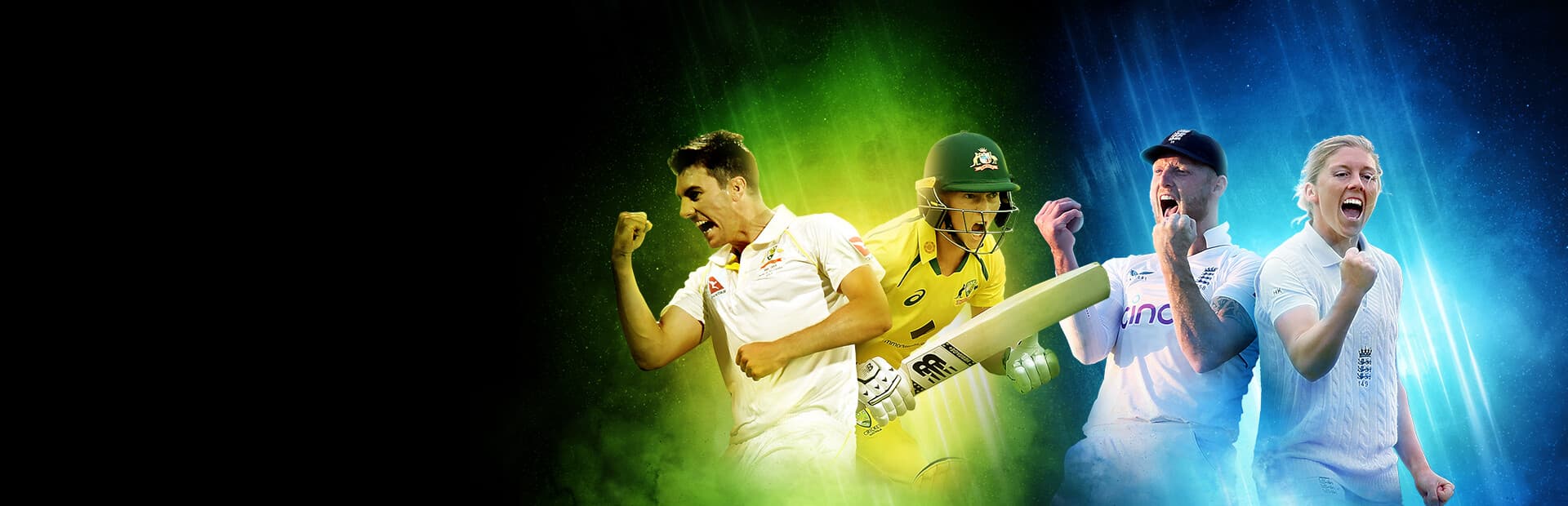 Cricket 24 (compte Steam)