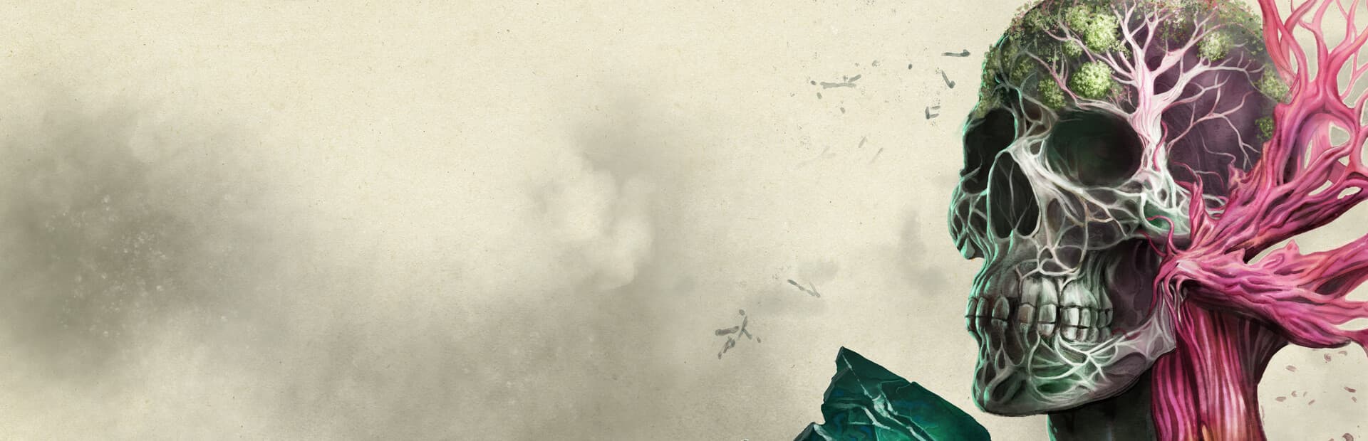 Avowed (compte Battle.net)