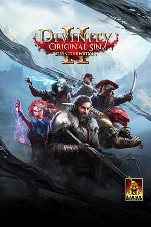 Divinity: Original Sin 2 Definitive Edition