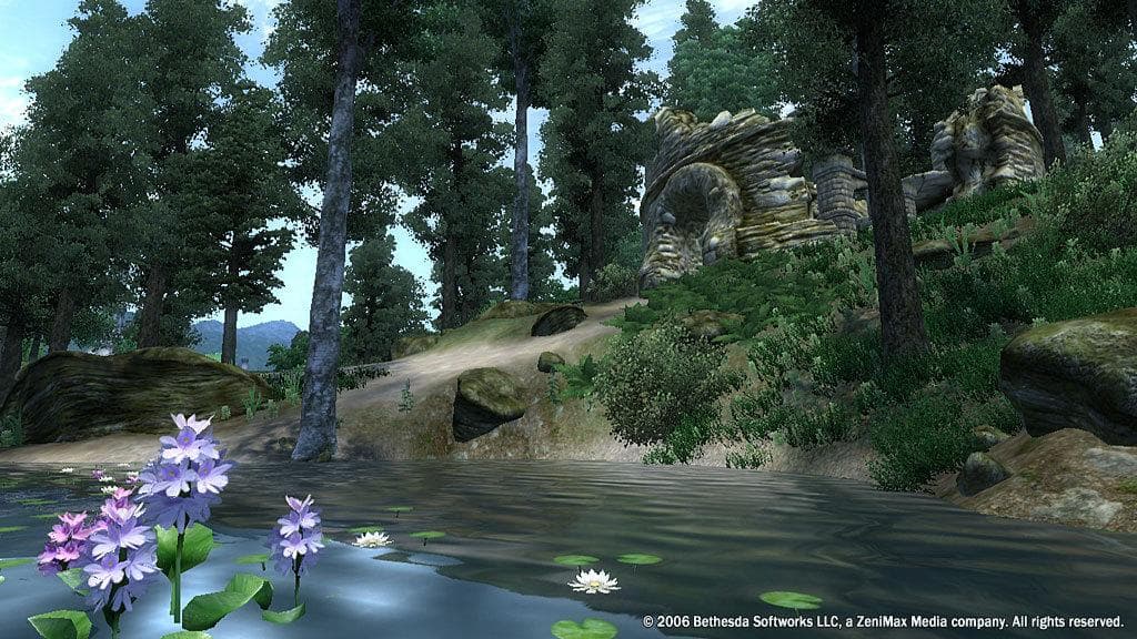 The Elder Scrolls IV: Oblivion GOTY Edition PC Windows
