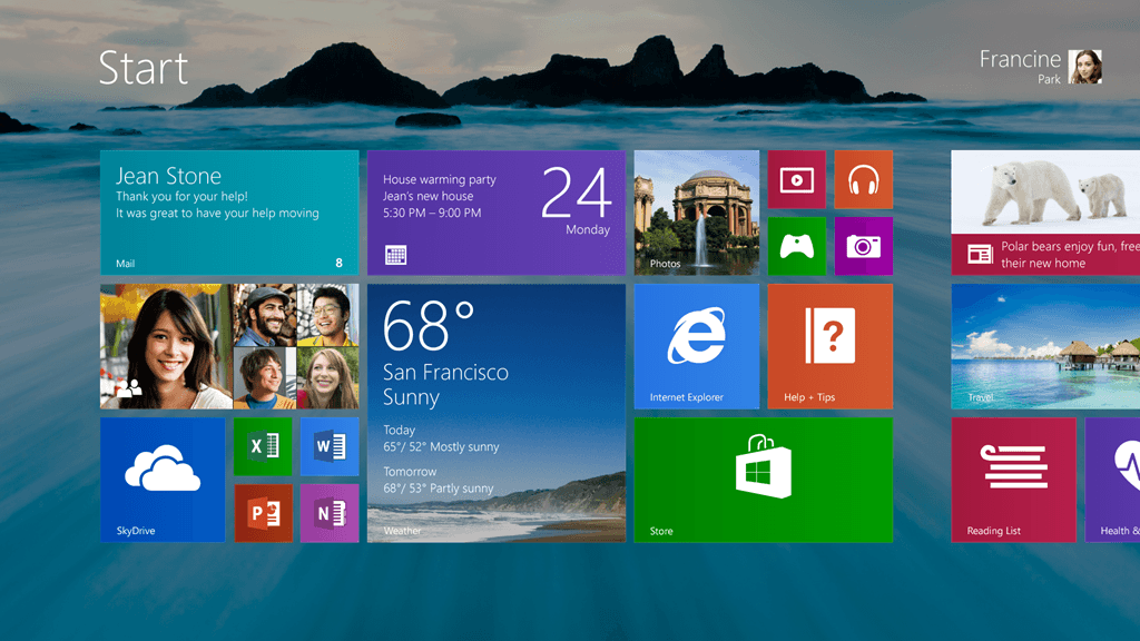 Windows 8.1 Professional (OEM)