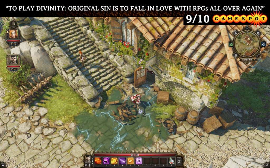 Divinity: Original Sin (cadeau Steam)