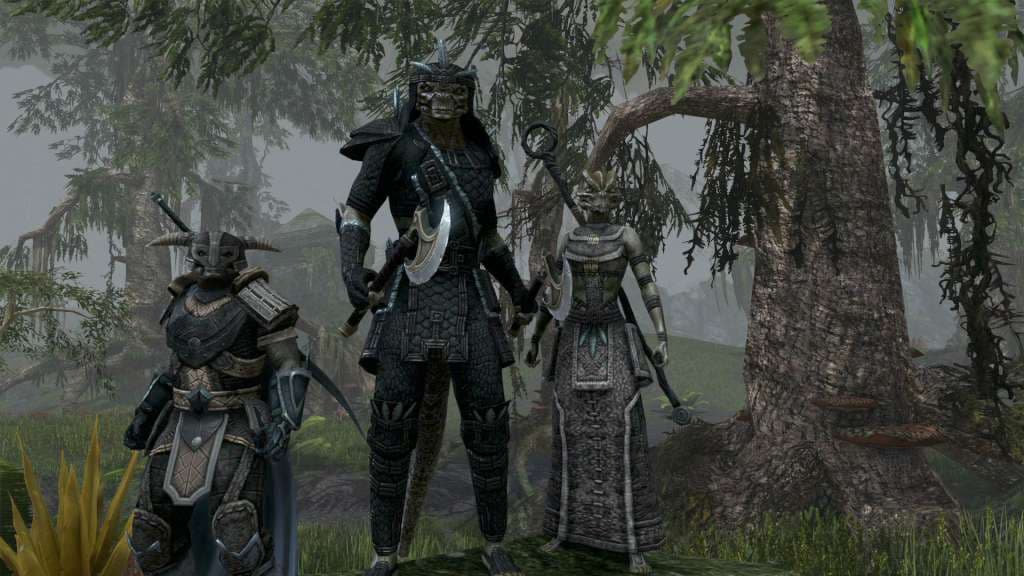 The Elder Scrolls Online - Explorer's Pack DLC