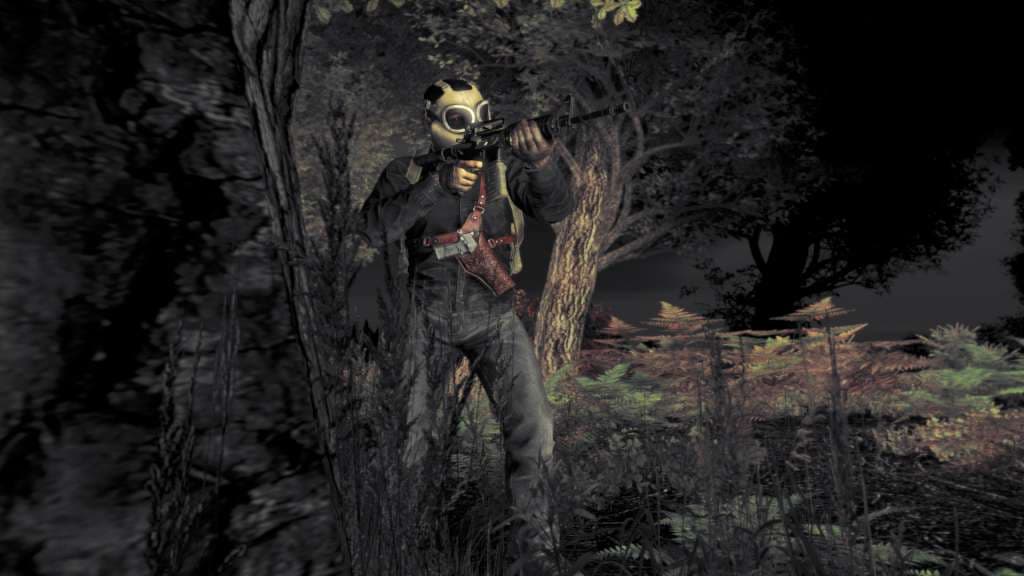 DayZ Deluxe Edition (cadeau Steam)
