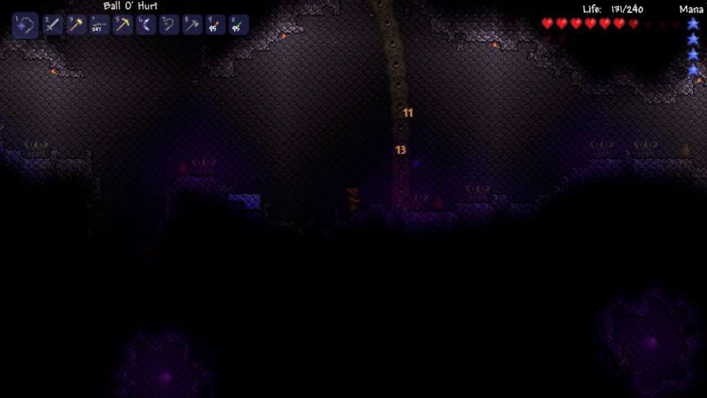 Terraria (compte Nintendo)