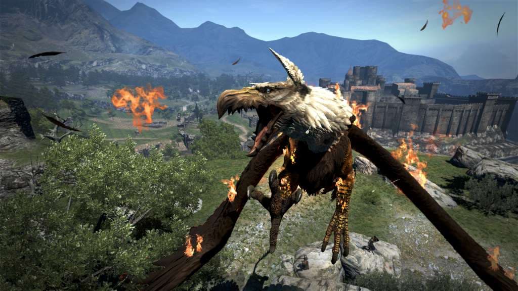 Dragon's Dogma: Dark Arisen (compte Steam)