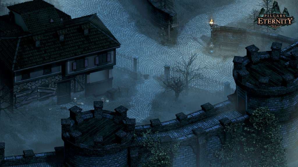 Pillars of Eternity Definitive Edition