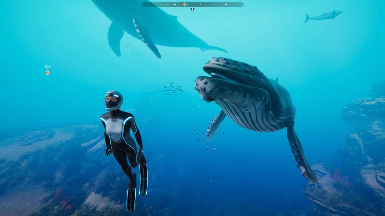 Beyond Blue (compte Epic Games)