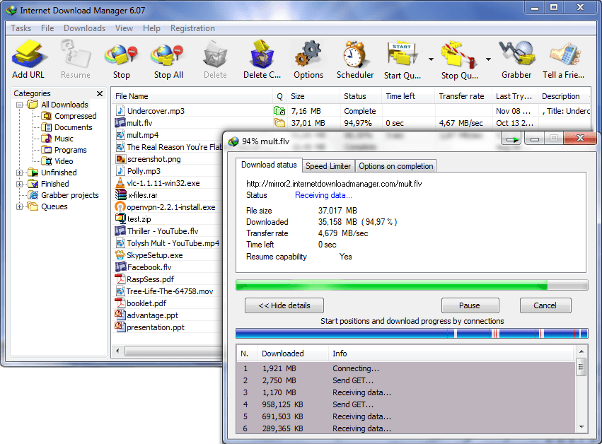 Internet Download Manager