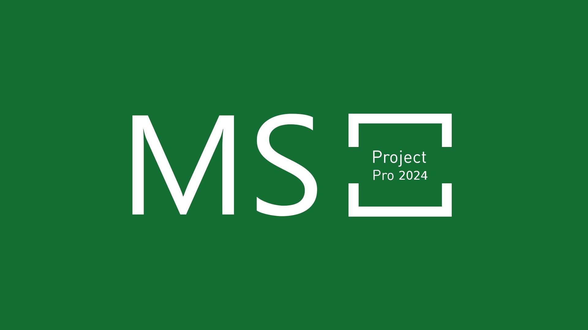 Microsoft Project Professional 2024 (Bind)
