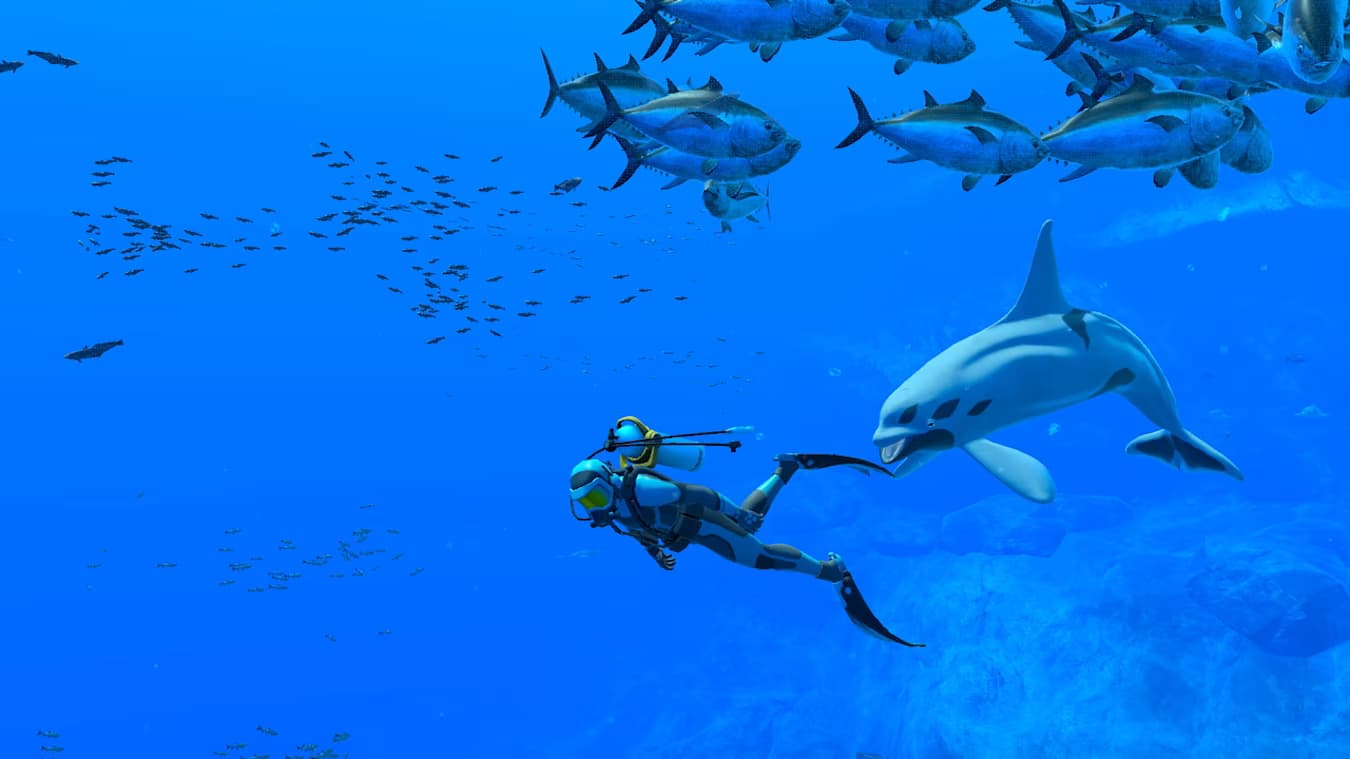 Endless Ocean Luminous (compte Nintendo)